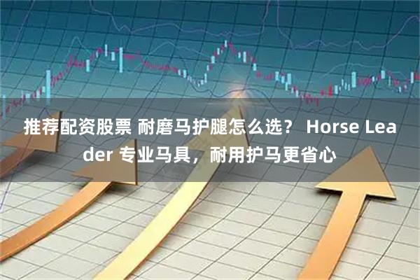 推荐配资股票 耐磨马护腿怎么选? Horse Leader 专业马具,耐用护马更省心